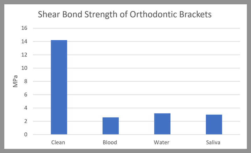 shear bond strength with blood saliva contamination